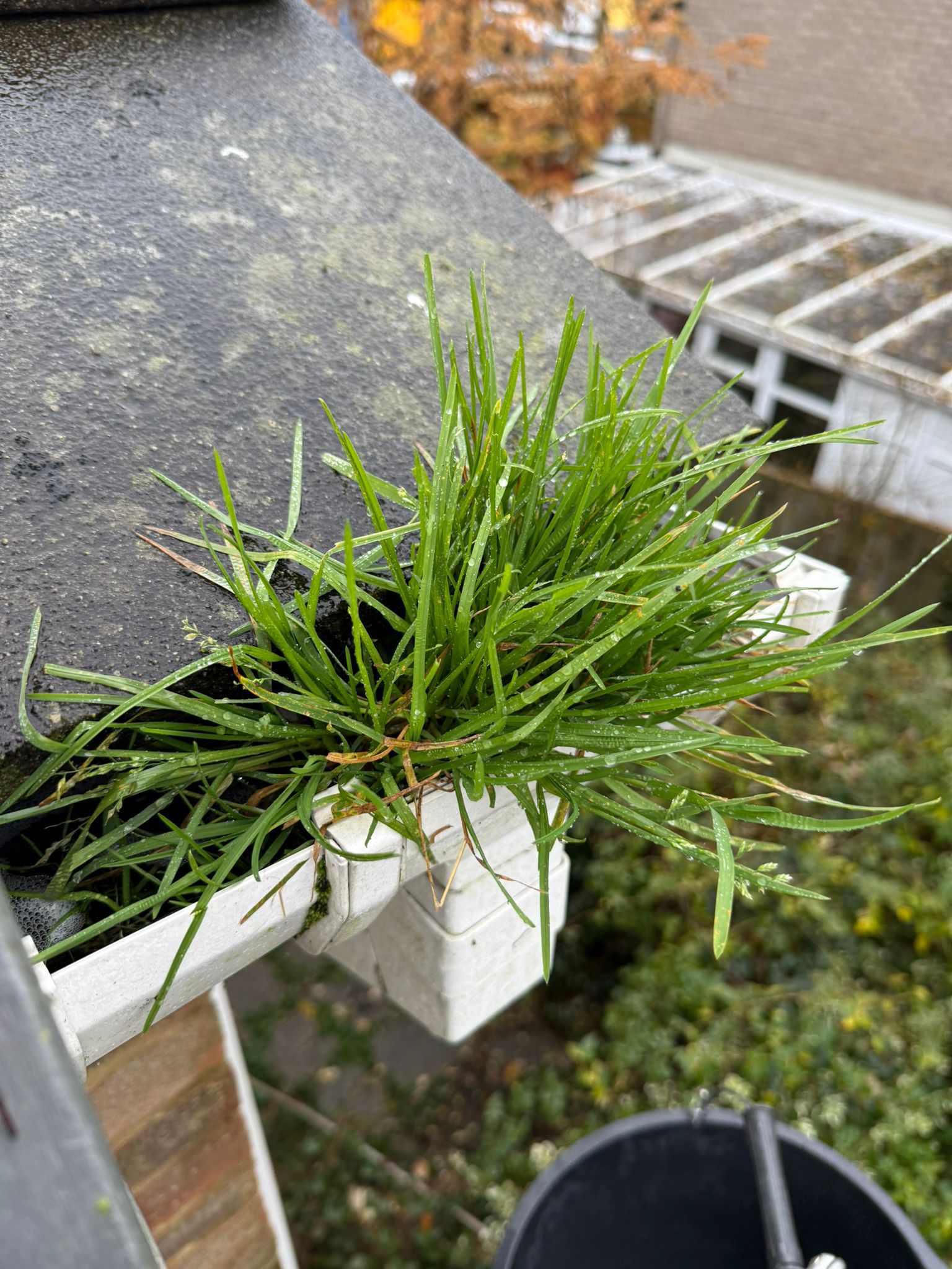 Blocked gutter downpipe in Woking