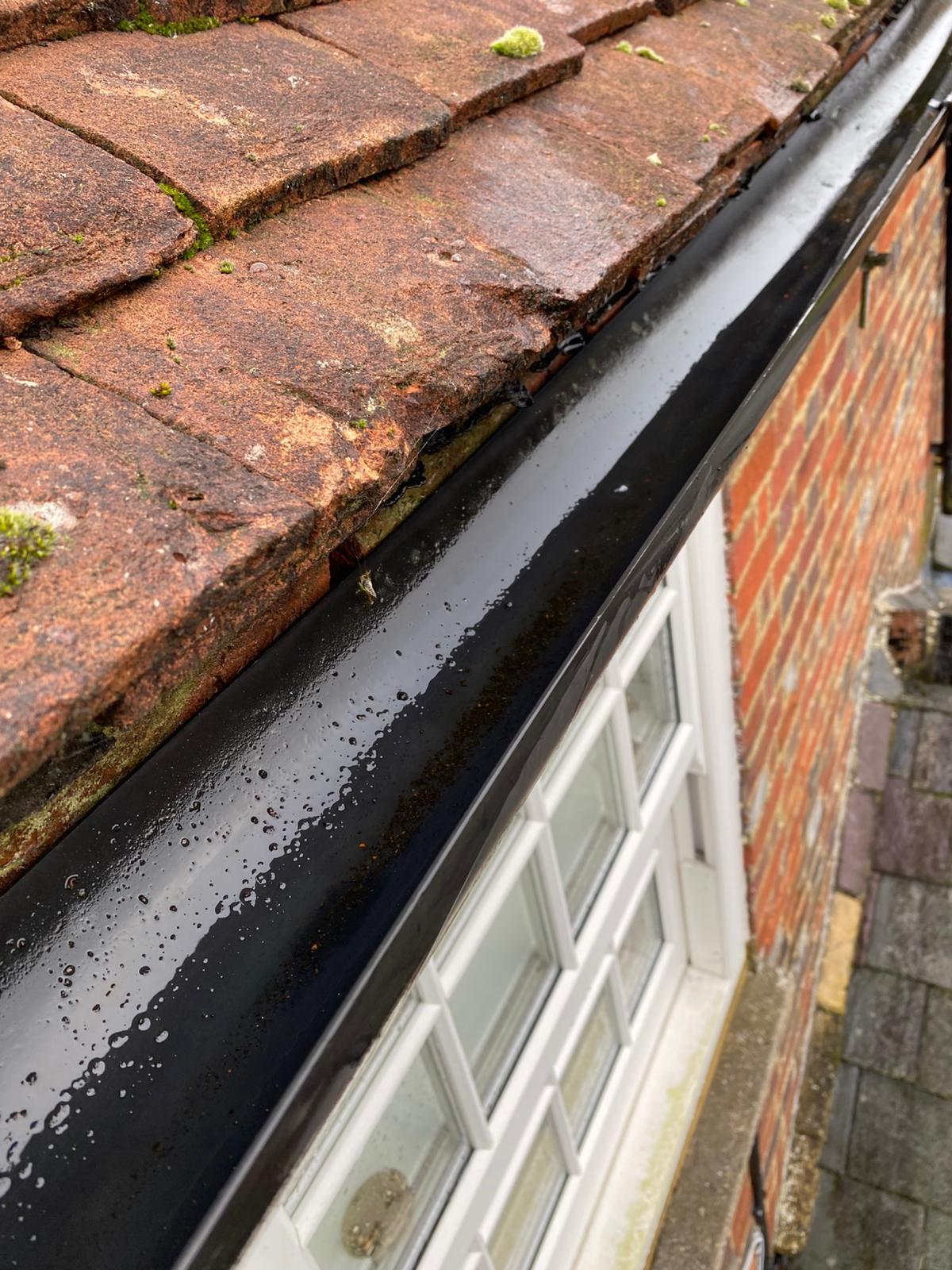 gutter cleared  - Wisley Gutter Clearance is the solution!